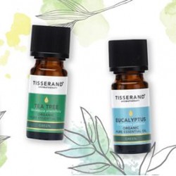 Bescherm jezelf tegen virussen en verkoudheid met aromatherapie